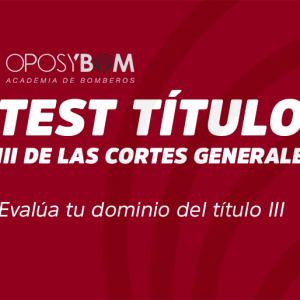 TEST III DE LAS CORTES GENERALES